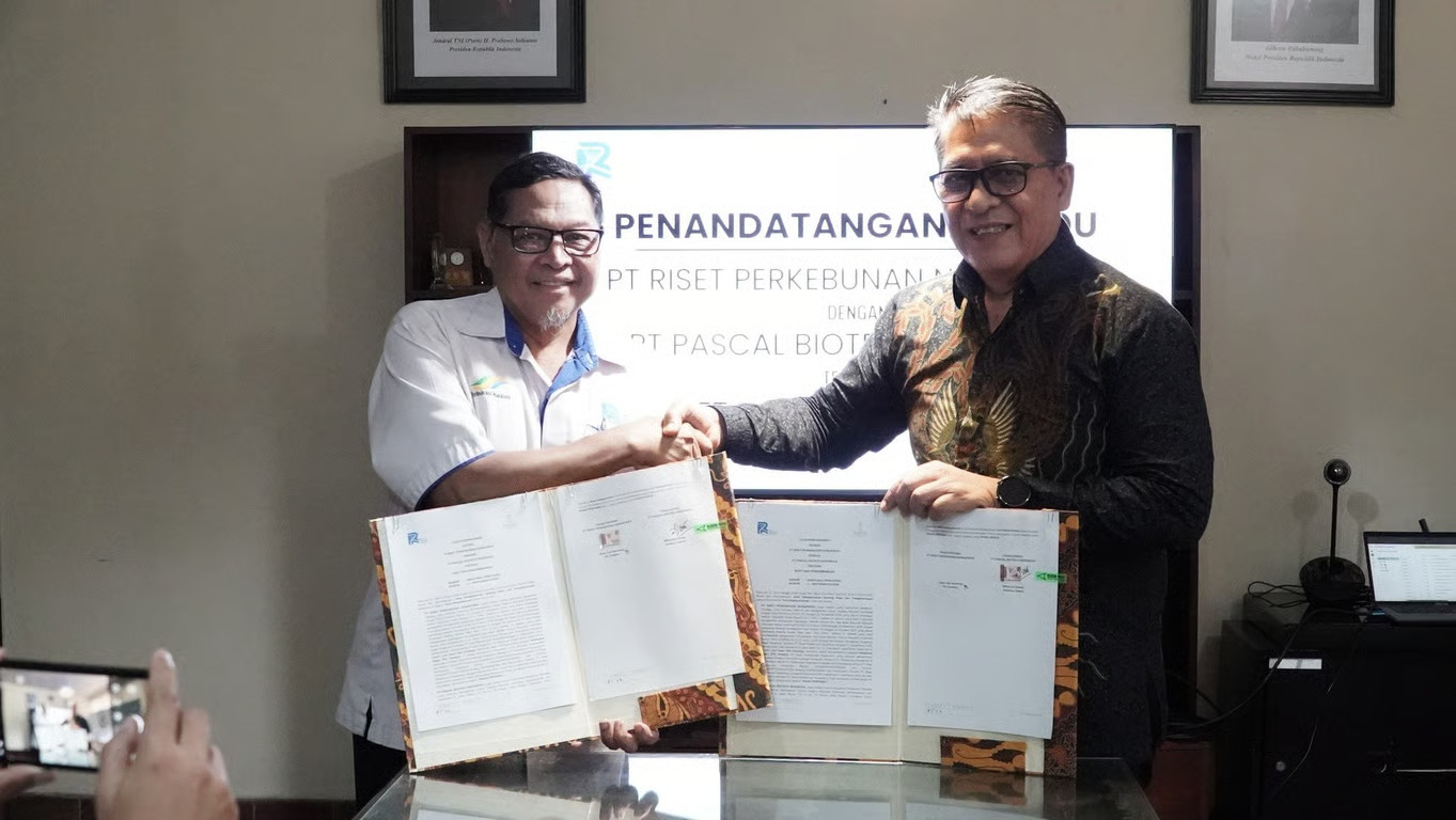 Holding Perkebunan Nusantara Dorong Sinergi Riset dan Industri, PT RPN Jalin Kemitraan Strategis dengan Pascal