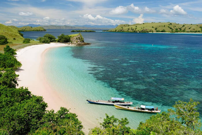Earth Day atau Hari Bumi menjadi pengingat penting akan tanggung jawab kita untuk menjaga dan merawat kekayaan