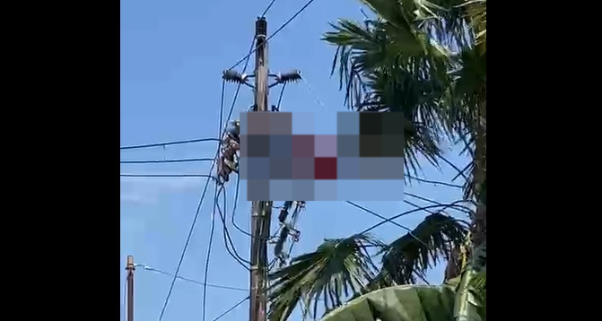 Nekat Panjat Tiang Listrik Demi Curi Kabel, Pria di Pontianak Selatan Tersengat Tegangan Tinggi