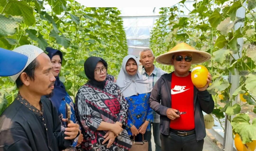 Kejar Nilai Ekonomis, Bupati Kubu Raya Ajak Warga Manfaatkan Pekarangan