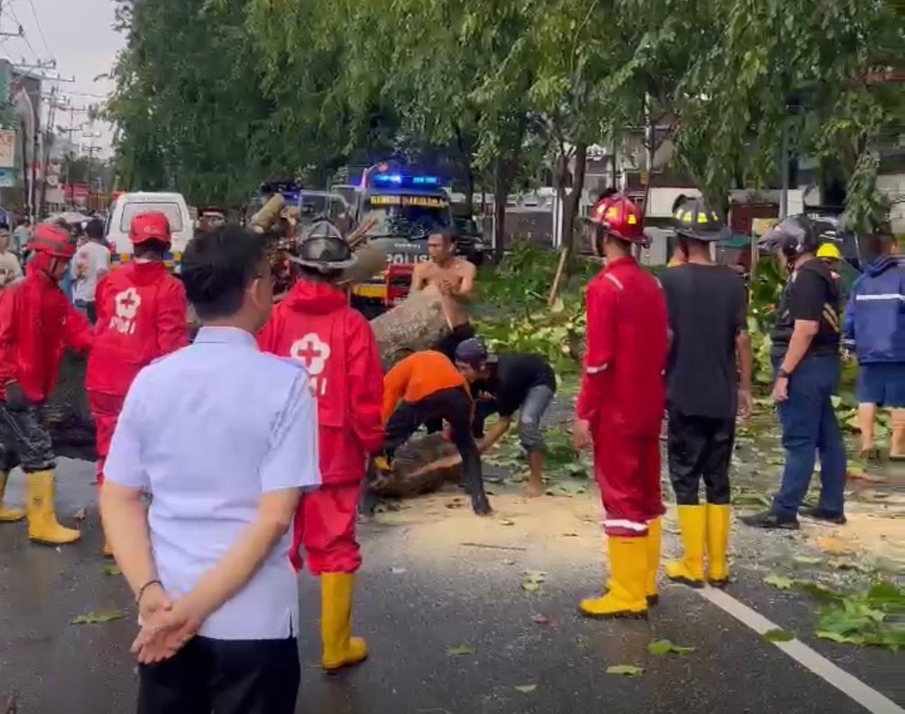 Cuaca Ekstrem di Pontianak, Pemkot Perketat Pemantauan Pohon Rawan Tumbang