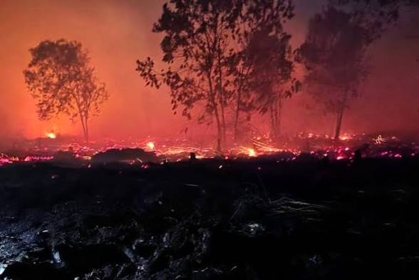 Hotspot Kalbar Sisa 20 Titik, BPBD Ungkap Sejumlah Wilayah Masih Jadi Perhatian