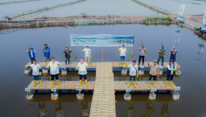 Tanam 16.000 Bibit Mangrove, PT Pelindo Solusi Logistik Perkuat Ekosistem Blue Carbon untuk Mitigasi Perubahan
