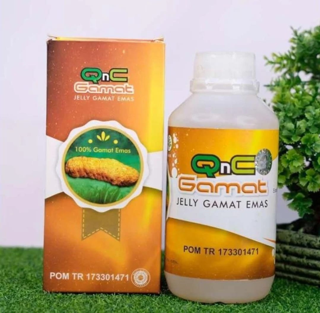 QnC Gamat, Jelly Gamat Emas, Produk Herbal Kekinian