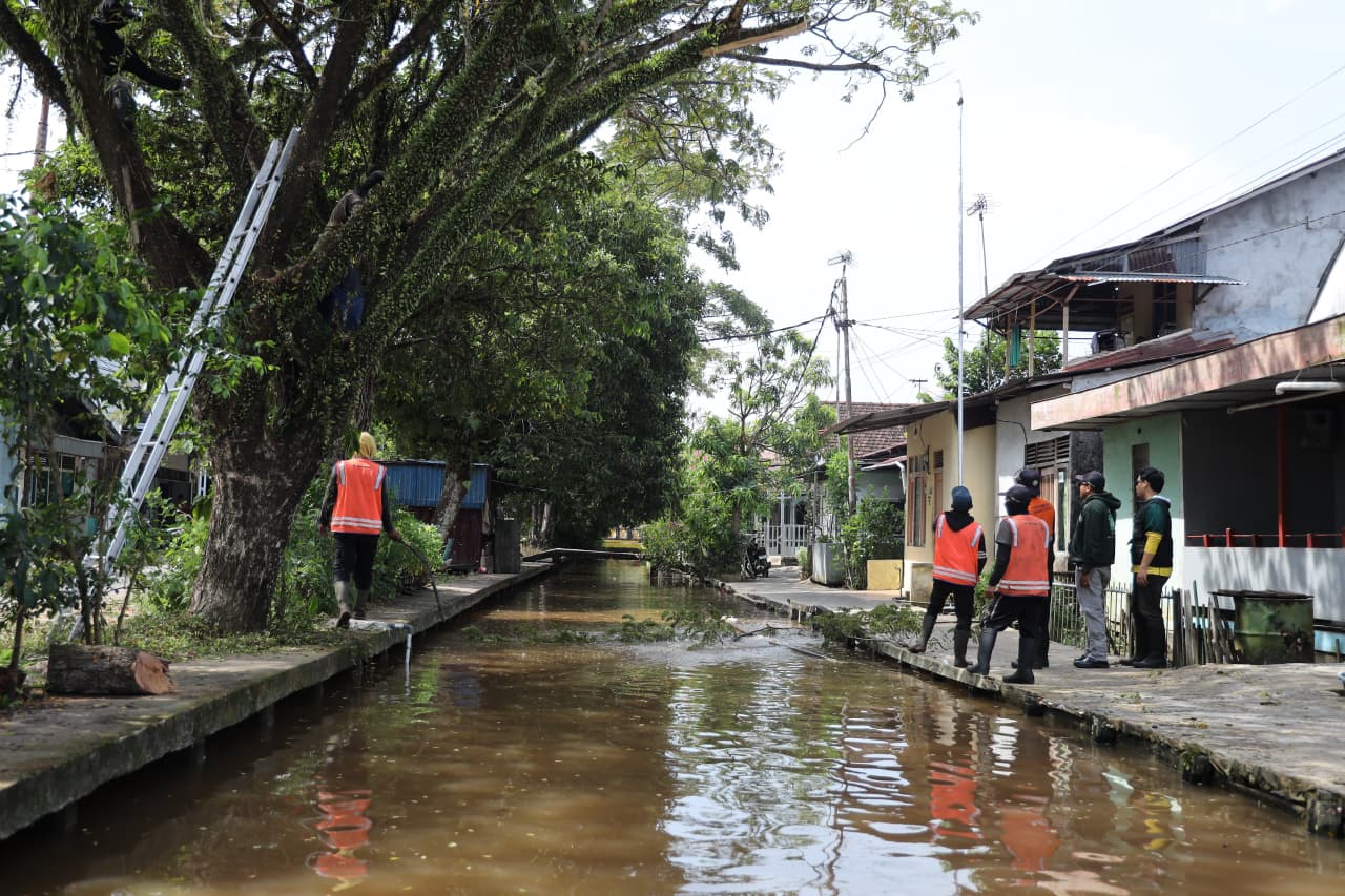 Dinas PUPR Kota Pontianak Rutin Tindaklanjuti Aduan Warga soal Perawatan Pohon
