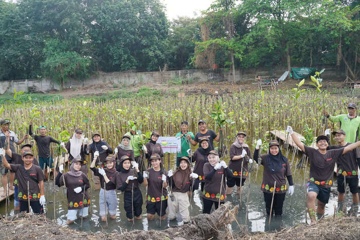 PT Pigeon Indonesia Tanam 1.000 Pohon Mangrove di Pantai Indah Kapuk Jakarta