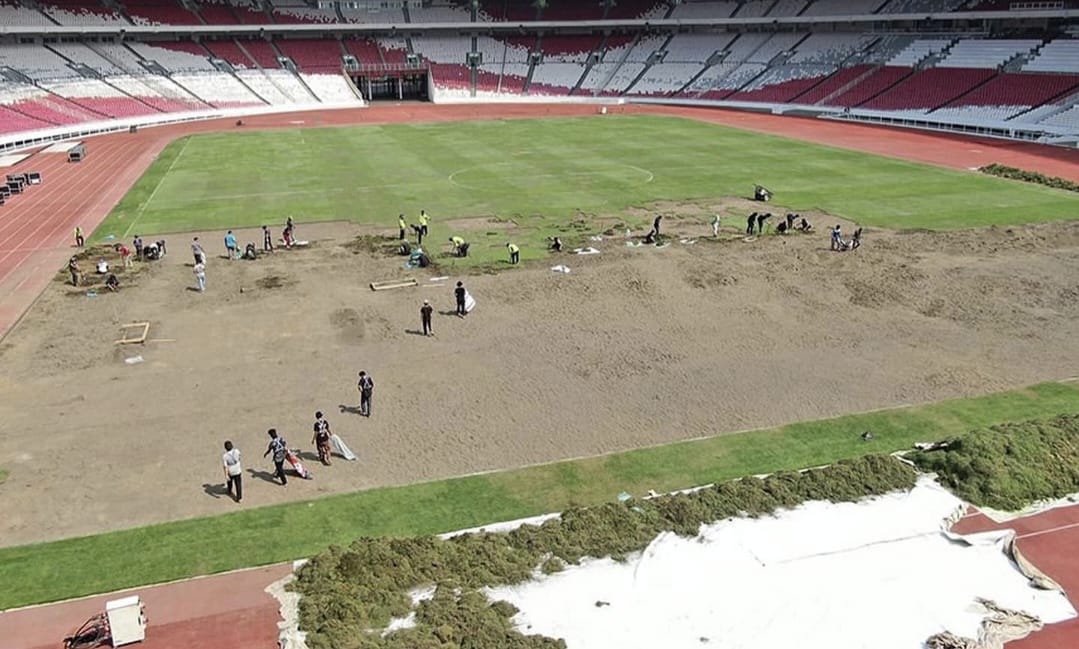 Jelang Babak Ketiga Kualifikasi Piala Dunia 2026, GBK Lakukan Renovasi Semua Rumput!