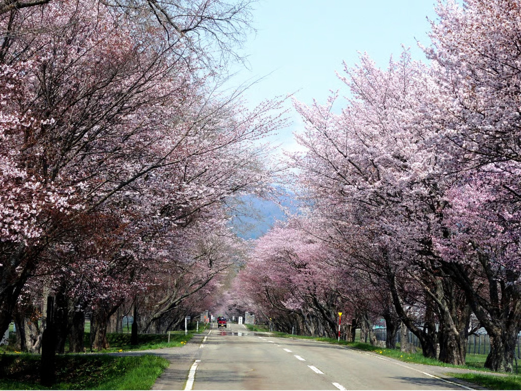 Rekomendasi Event Lari Maraton & Jalan Santai di Hokkaido