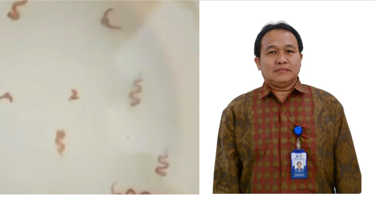 Heboh Cacing Muncul di Sungai Kapuas Pontianak Bukan Pencemaran, Ini Kata Pakar