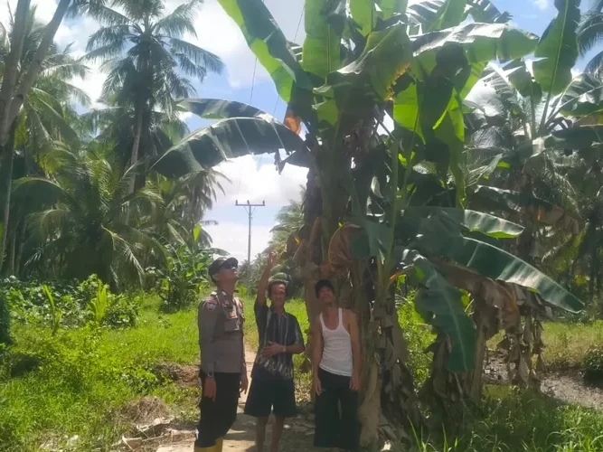 Pemancing Tewas Tersengat Listrik Saat Mancing di Kubu Raya