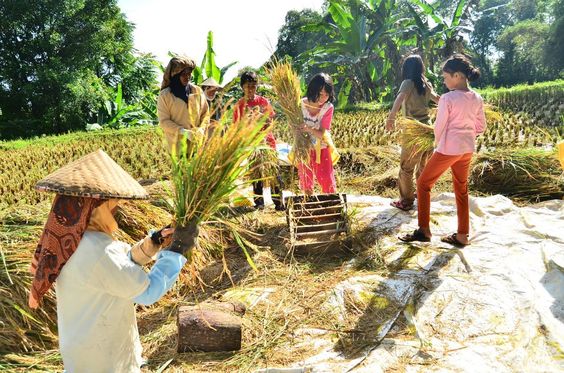  Dampak Perubahan Iklim terhadap Pertanian Global