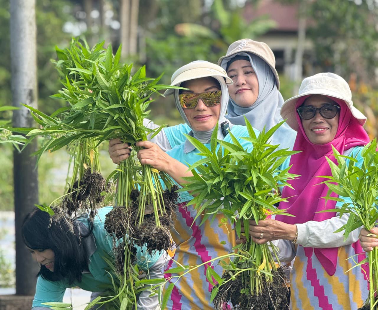 TP PKK Pontianak Dorong Pemanfaatan Lahan Pekarangan Lewat Tanaman Hortikultura