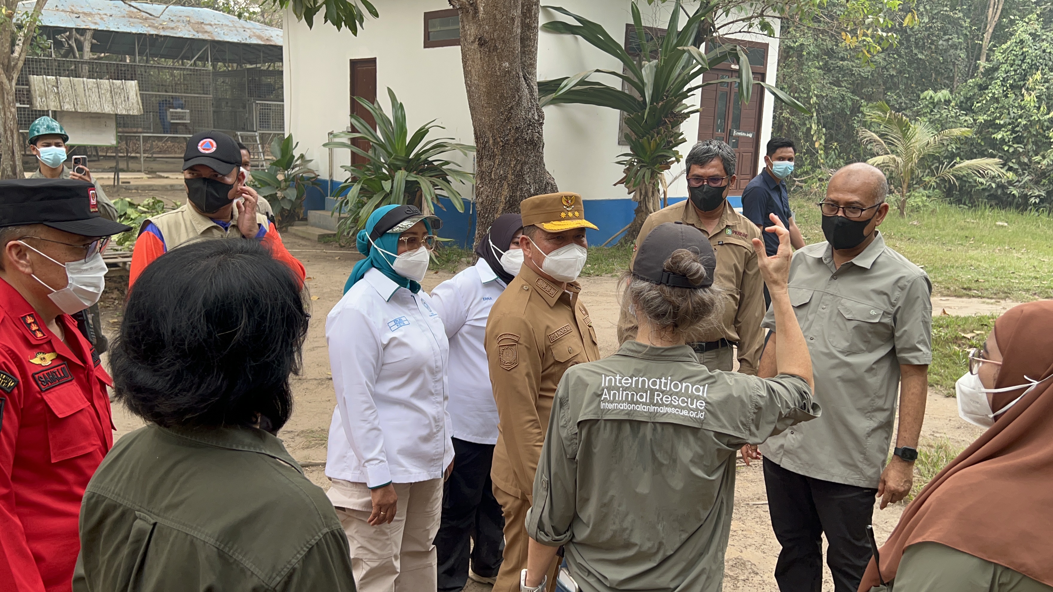 Pemprov Kalbar Dorong Gerakan Bersama, Penanganan Karhutla Harus Lindungi Habitat Satwa