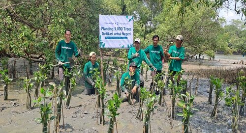 Dedikasi untuk Negeri: Bank Indonesia Dukung LindungiHutan Tanam 20.000 Pohon Bakau