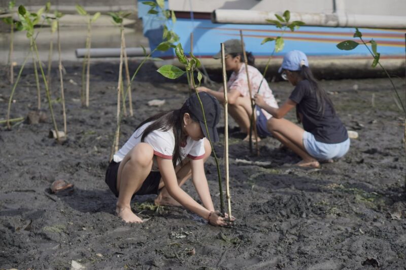 Generasi Muda Kini Bisa Beri Dampak Nyata Lewat Donasi Pohon Rp25 Ribu
