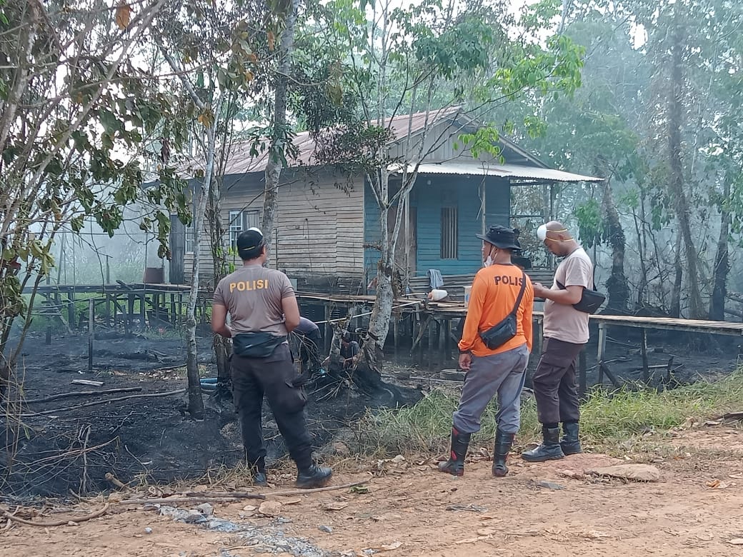 Karhutla di Teluk Lais Sungai Ambawang Hanguskan hingga Puluhan Hektar