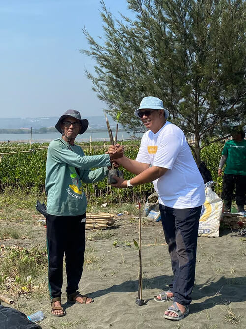 The Wujil Resort Ungkap Kerja Sama dengan LindungiHutan dan Perkembangan Mangrove Terkini