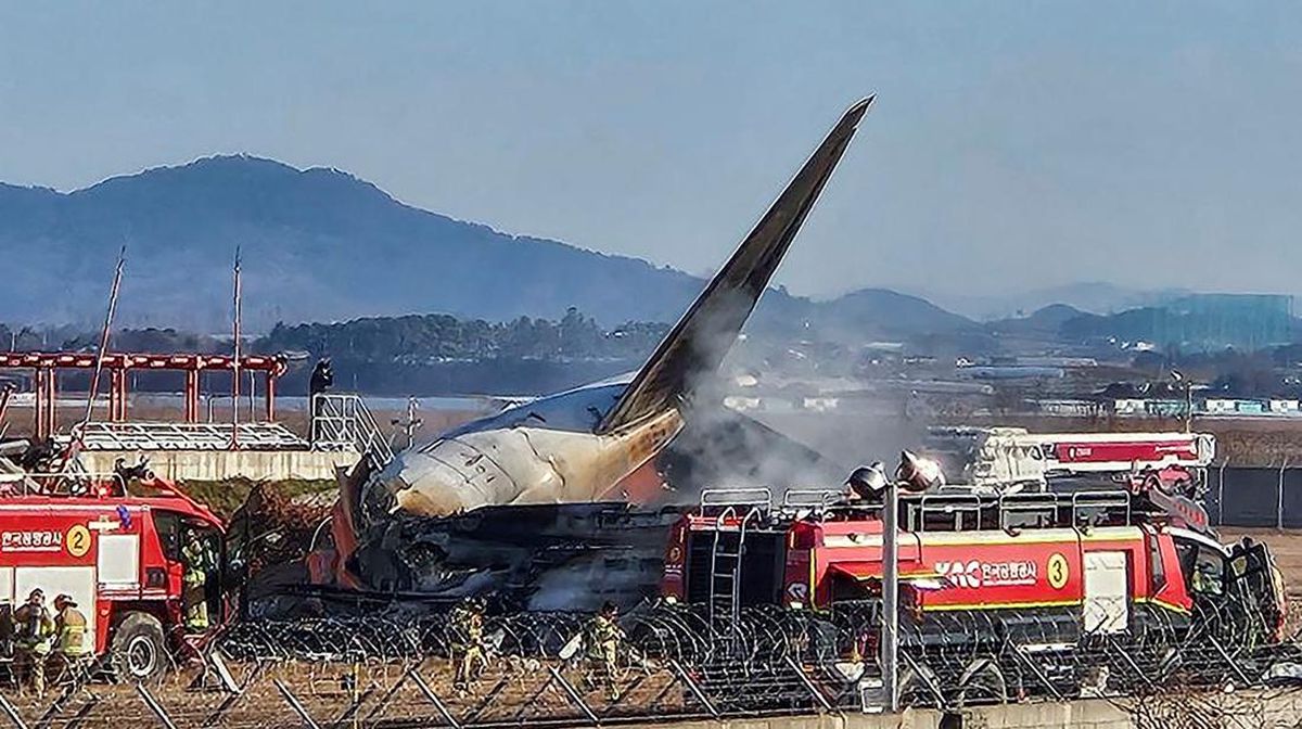 Diduga Tabrakan Burung dan Cuaca Ekstrim, Kecelakaan Tragis Pesawat Jeju Air Memakan 179 Korban