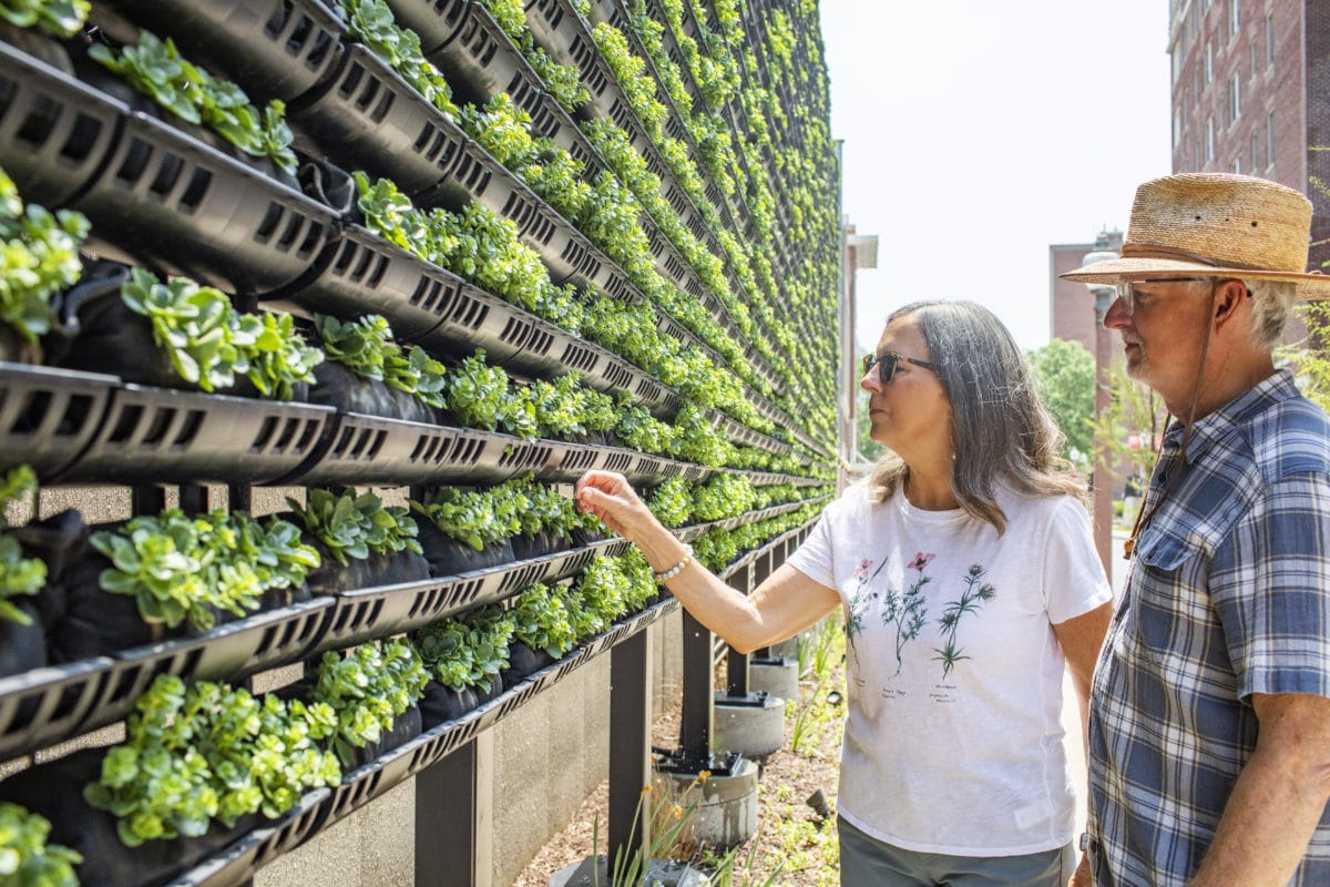 Berkebun di Era Modern, Inovasi Terkini yang Memudahkan Hobi Berkebun Anda