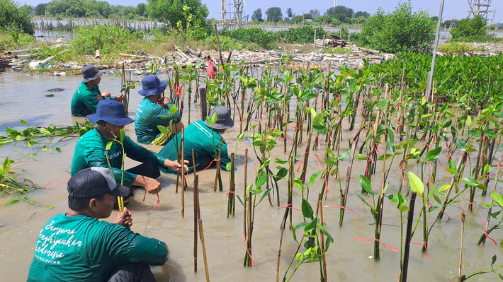 LindungiHutan: Platform Kolaborasi untuk Perusahaan Melakukan Penghijauan dan Mitigasi Perubahan Iklim