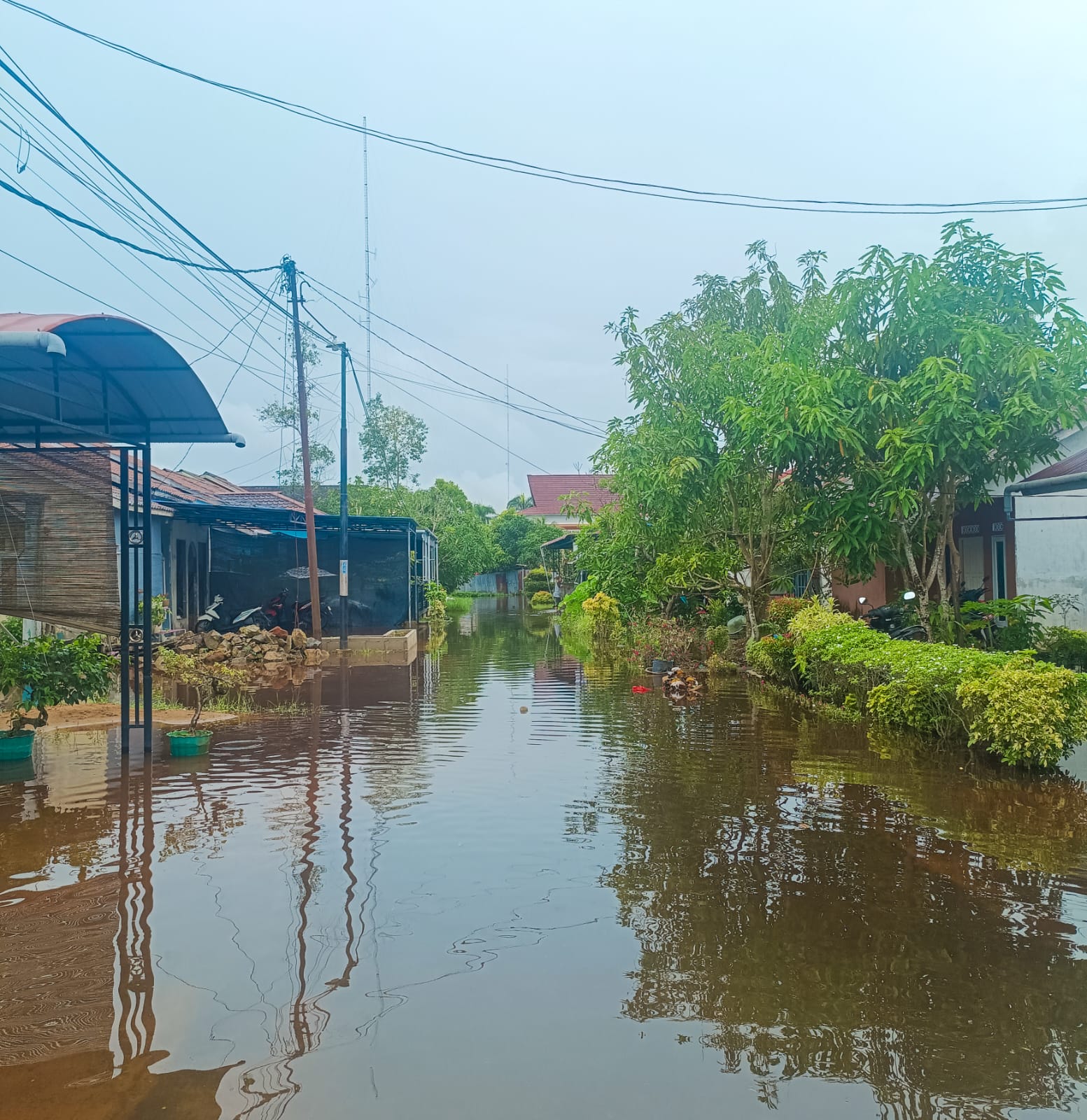 Banjir Rob Terjang Kelurahan Tengah Mempawah, Genangan Air Masuk Rumah Warga