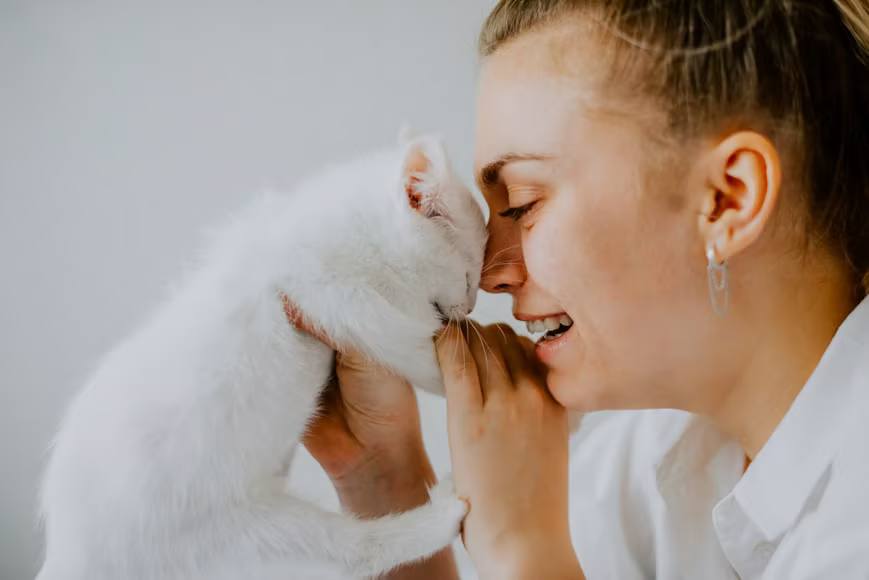 Kenali 8 Penyebab dan Cara Mengatasi Kucing Menangis