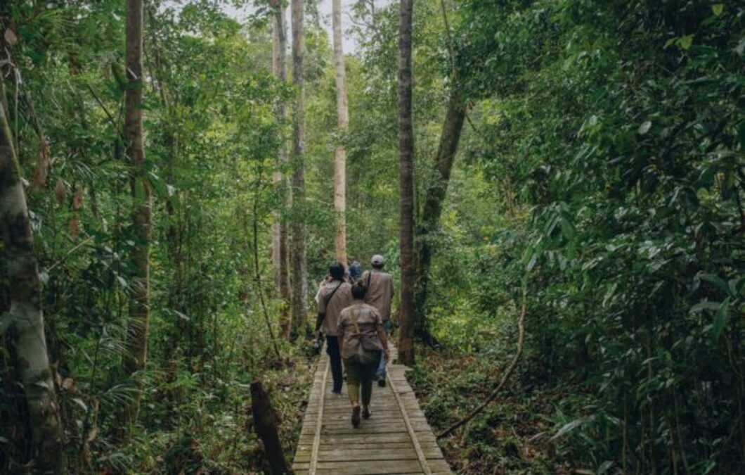 Pengadilan Tata Usaha Negara (PTUN) Jakarta Kabulkan Permohonan Penundaan Keputusan Pencabutan Izin