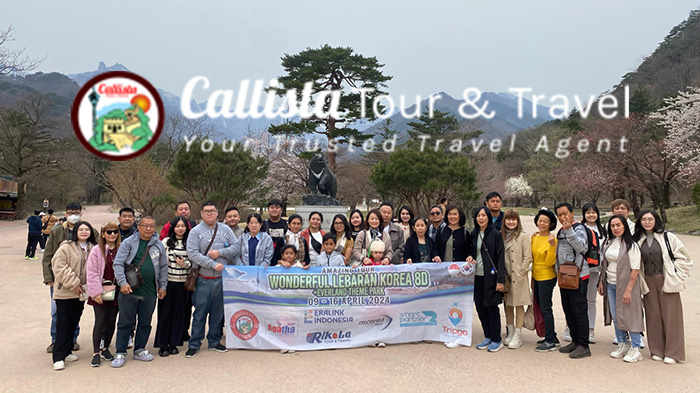 Callista Tour Tawarkan Puluhan Paket Liburan Tour Korea Selatan Menarik