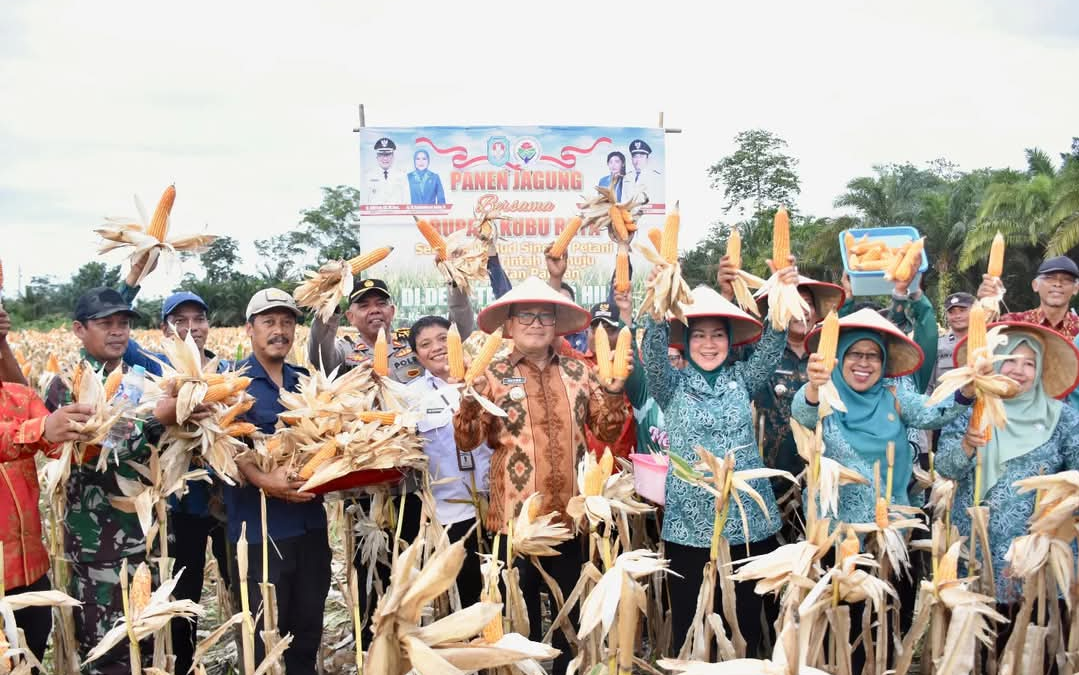 Bupati Kubu Raya Pimpin Panen Raya Jagung di Desa Terentang Hilir