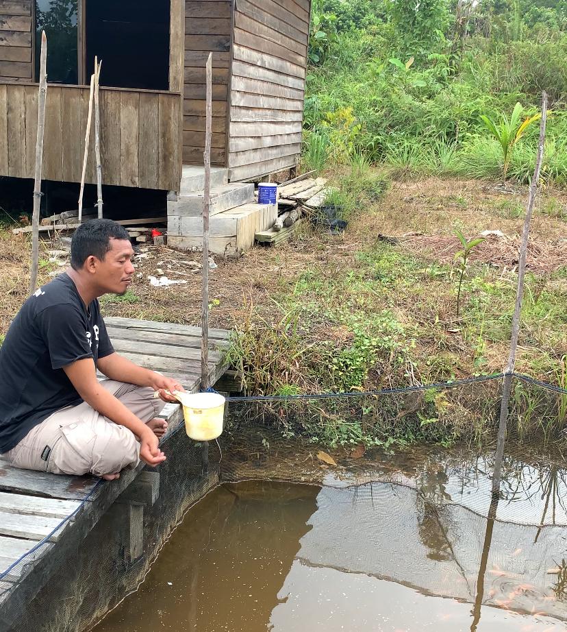 Dukung Program Presiden Prabowo tentang Ketahanan Pangan, Ketua SMSI Melawi Tanam Rempah dan Ternak Ikan 