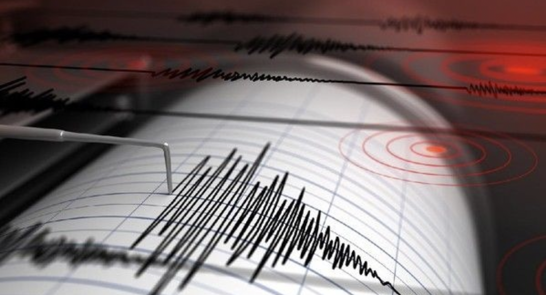 Gempa Magnitudo 5,0 Guncang Pariaman, Berikut Daerah yang Terkena Dampaknya