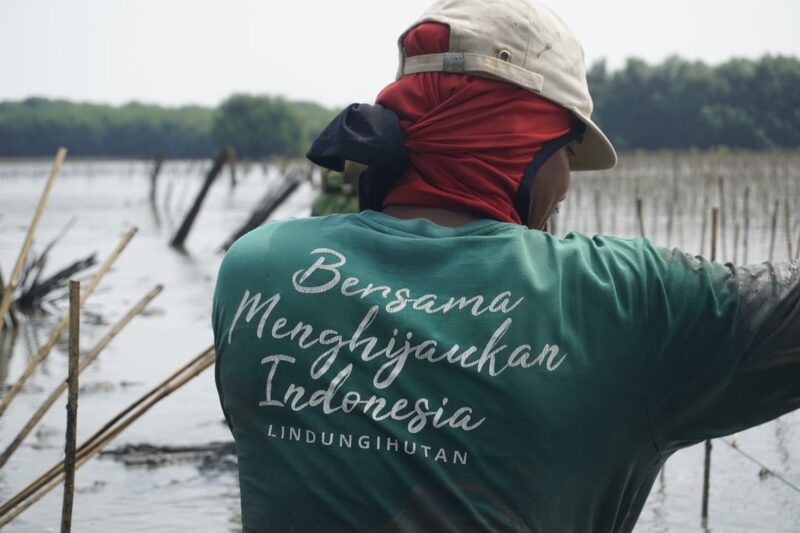 Peringati International Plastic Bag Free Day, LindungiHutan Gaungkan Kolaborasi Hijau