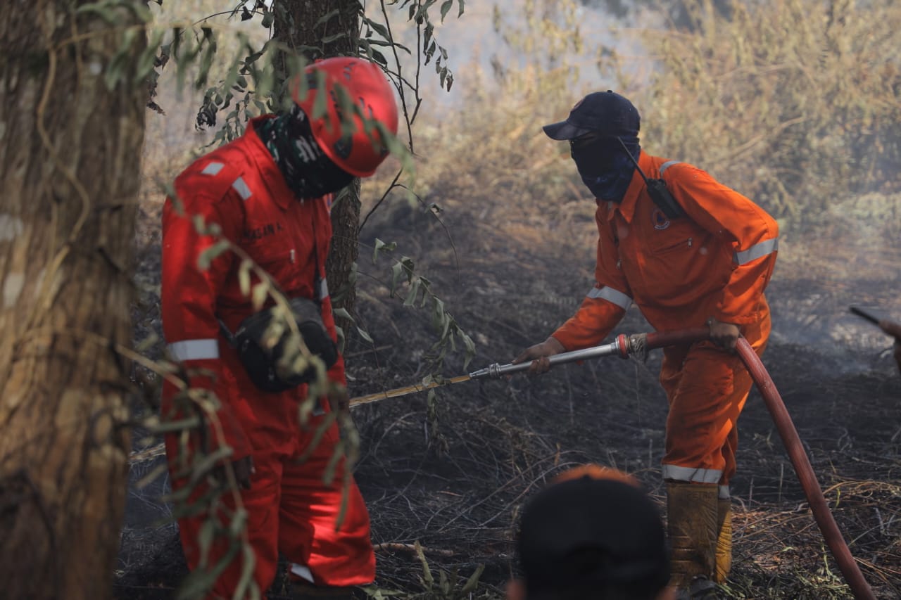 BPBD Pontianak Duga Sejumlah Kebakaran Lahan Dipicu Pembakaran Sengaja