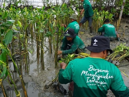 Mengajak Publik Berperan Aktif, LindungiHutan Perkuat Gerakan Lingkungan Lewat Kolaborasi