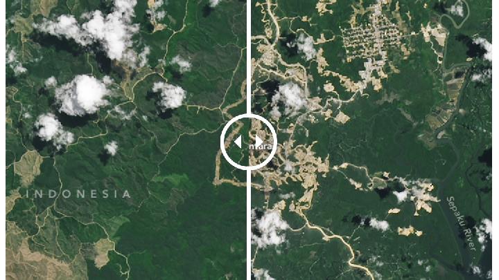 Terkuak! Transformasi Hutan Kalimantan Melalui Satelit NASA Akibat Jejak Pembangunan IKN