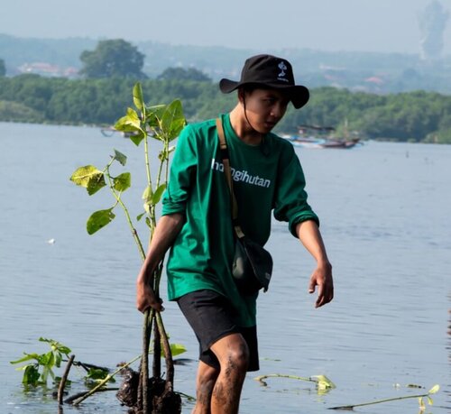 POLUTREE, Program Baru LindungiHutan untuk Pengurangan Emisi Gas Rumah Kaca