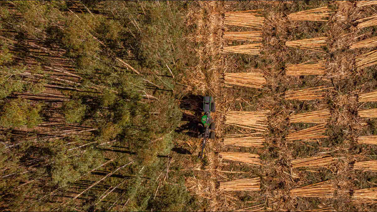 Koltiva Dorong Dialog Multi-Pemangku Kepentingan tentang Regulasi Anti Deforestasi Uni Eropa 