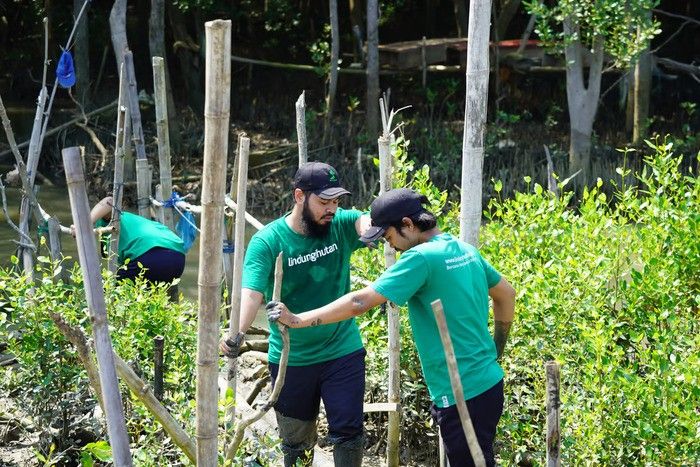 Makna Kemerdekaan dan Pelestarian Lingkungan Menurut CEO LindungiHutan