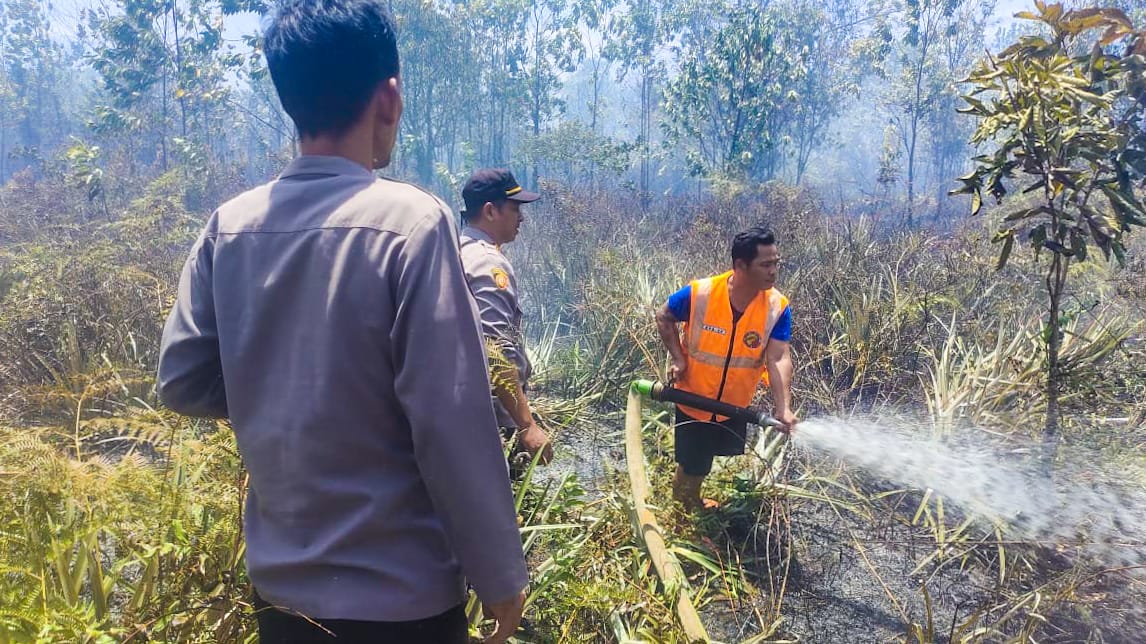 Karhutla Melanda Desa Galang, Tim Pemadam Kebakaran Berjibaku Memadamkan Api Dibantu 50 Warga