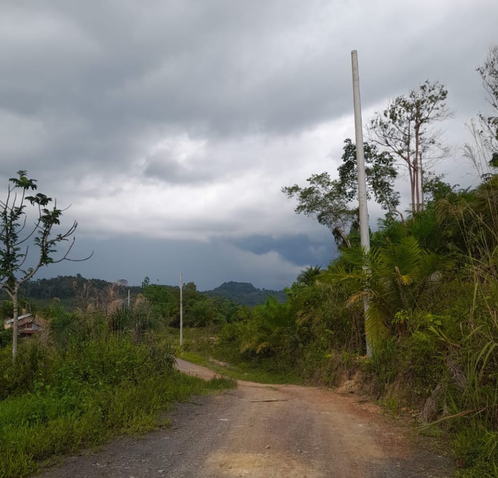 Proyek Lisdes di Landak Mangkrak Sejak 2023: Kepala Desa, PLN dan DPR Gelar Pertemuan