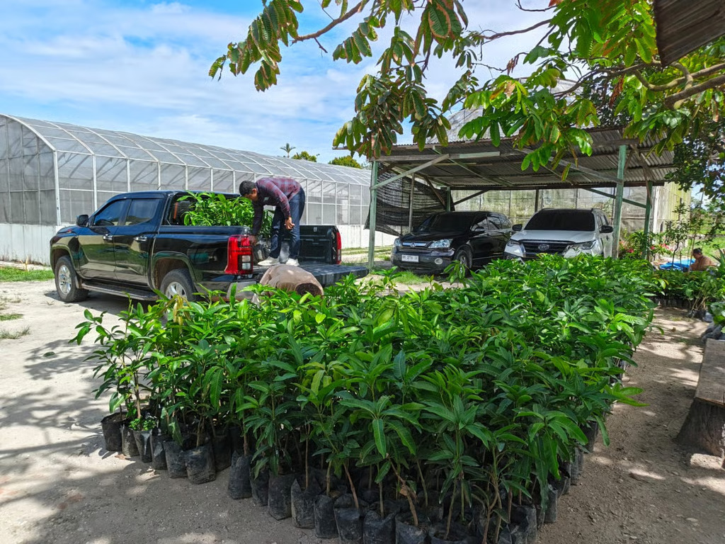 PalmCo Tanam Puluhan Ribu Pohon di 12 Provinsi, Pertegas Misi Keberlanjutan Holding Perkebunan Nusantara