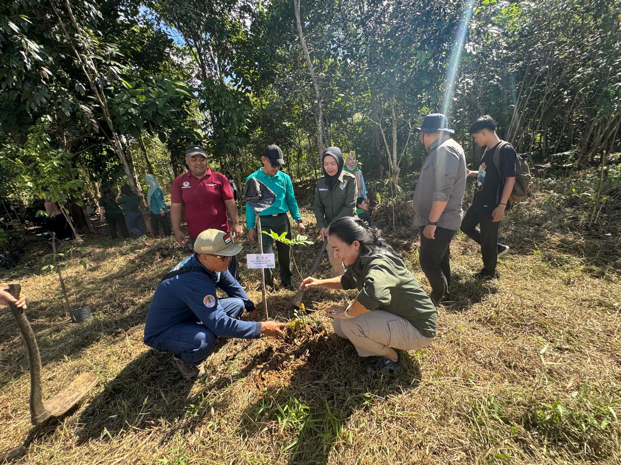 Peringati Hari Lingkungan Hidup, DLH Melawi Gelar Apel dan Tanam Pohon di Kawasan Hutan Kota