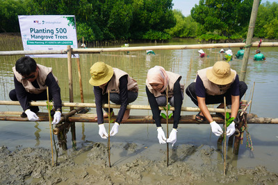 KAI Logistik Tanam 500 Mangrove: Dorong Logistik Berkelanjutan
