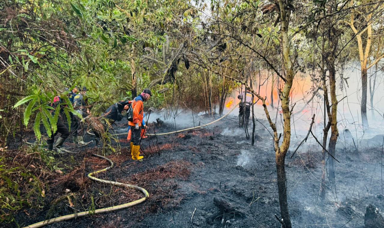 Tiga Hektar Lahan Terbakar di Sejegi, BPBD Mempawah Berjuang Padamkan Api