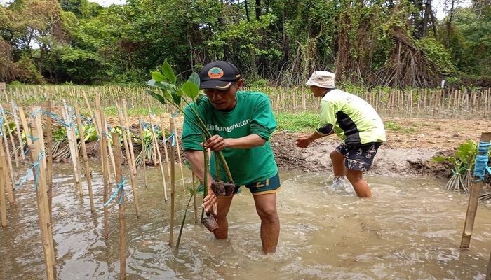 Dampak Nyata LindungiHutan Tanam 978.000 Pohon di Indonesia