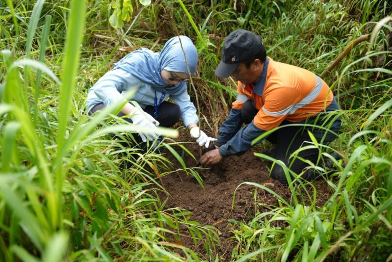 Jaga Kelestarian Alam Indonesia, WSBP Kembali Tanam 536 Pohon Trembesi