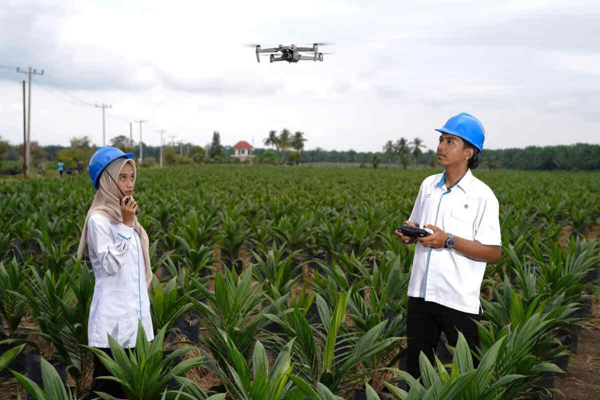 Holding Perkebunan Nusantara Percepat Transformasi Digital, PalmCo Sertifikasi Operator Drone Perkuat Sistem P