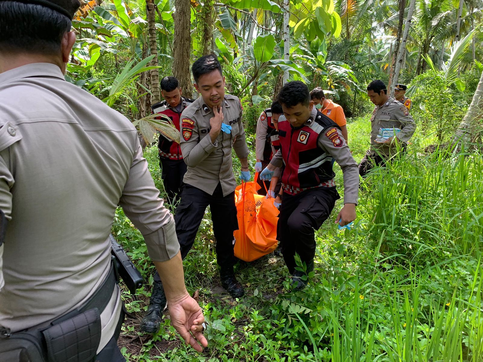 Kronologi Seorang Pria Bunuh Diri di Pohon Jambu Penibung Mempawah