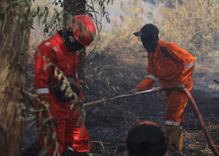 Cegah Karhutla, Pemkot Pontianak Tingkatkan Patroli dan Respons Cepat