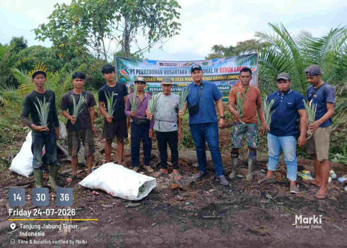 PTPN IV PalmCo Salurkan Bibit Nanas untuk Tingkatkan Ekonomi Warga Jambi